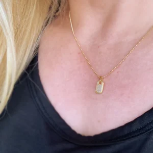 Mini Dog Tag Necklace